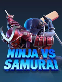 Ninja Vs Samurai game artwork